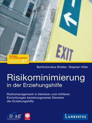 cover image of Risikominimierung in der Erziehungshilfe